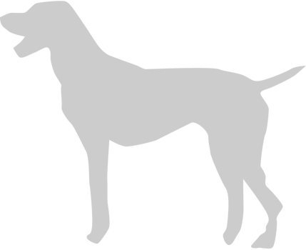 Dog vector