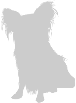 Dog vector