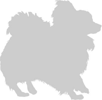 Dog vector