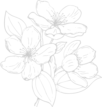 Flower vector