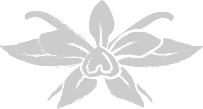 Flower vector