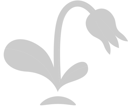 Flower vector