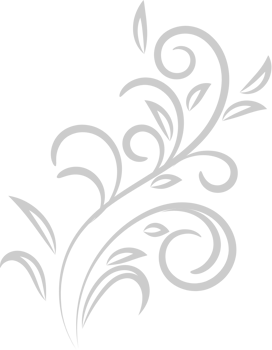 Flower floral vector