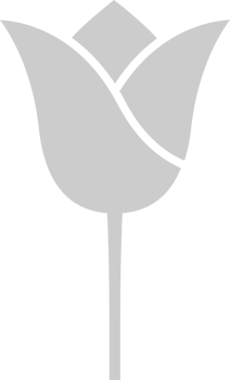Flower logo  vector
