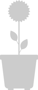 Flower pot vector