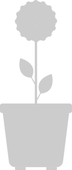 Flower pot vector