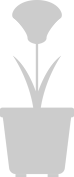 Flower pot vector
