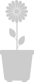 Flower pot vector