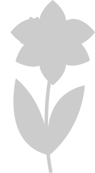 Flower vector