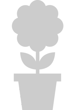 Flower pot vector