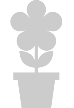 Flower pot vector