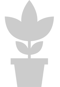 Flower pot vector
