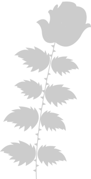 Flower vector