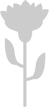 Flower vector