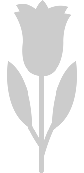Flower vector