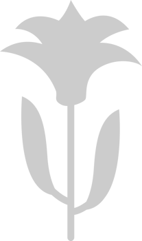 Flower vector