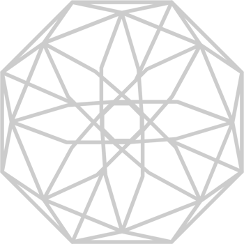 Geometric vector