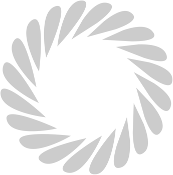 Geometric vector