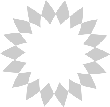 Geometric vector