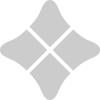 Geometric vector