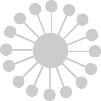 Geometric vector