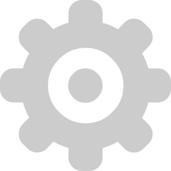 Geometric vector
