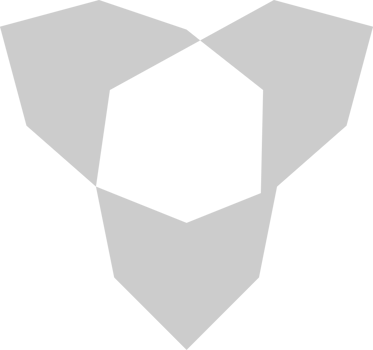 Geometric vector