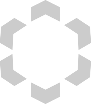 Geometric vector