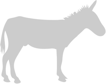 Donkey vector
