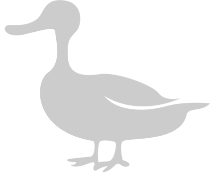 Duck vector