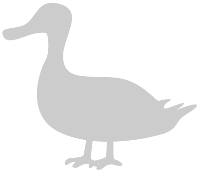 Duck vector