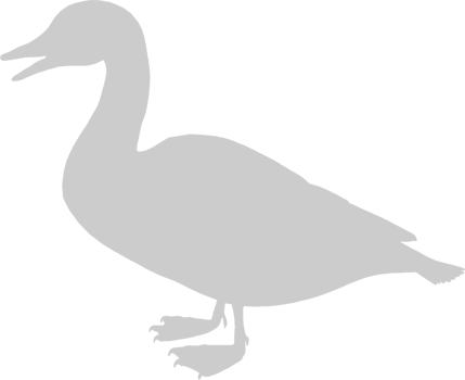 Duck vector