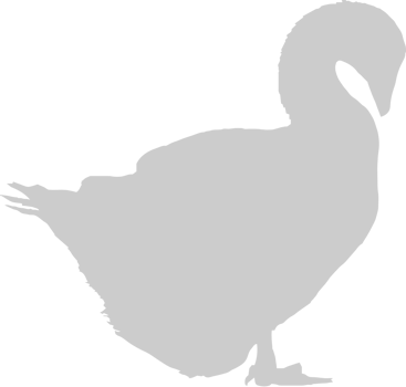 Duck vector