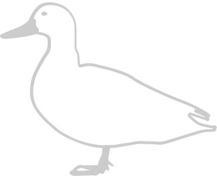 Duck outline vector