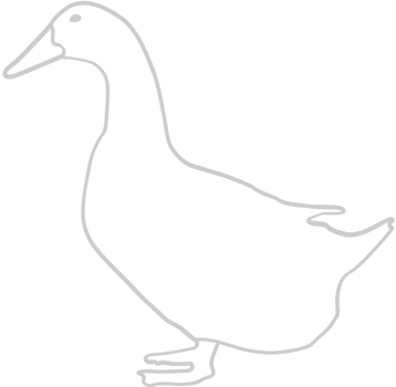Duck outline vector