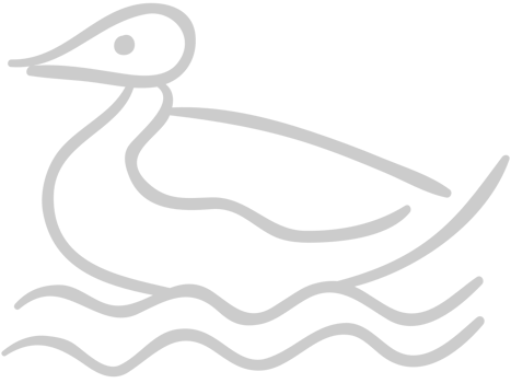 Duck outline vector