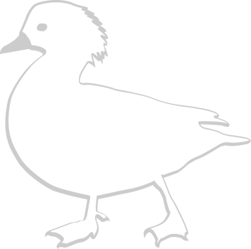 Duck outline vector