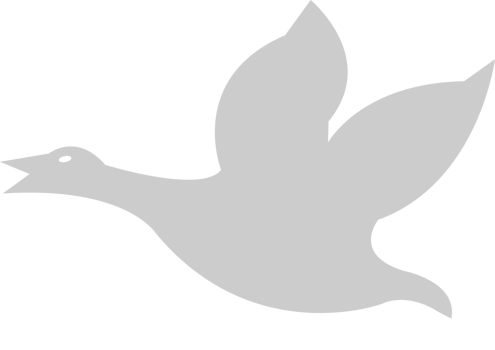 Duck vector