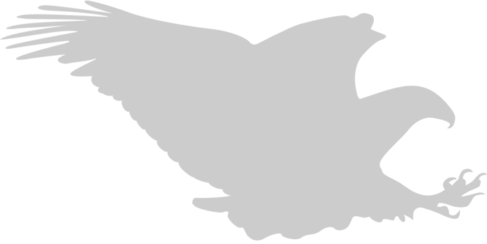 Eagle hunting vector