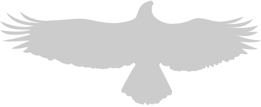 Eagle vector