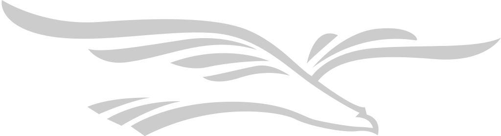 Eagle logo vector