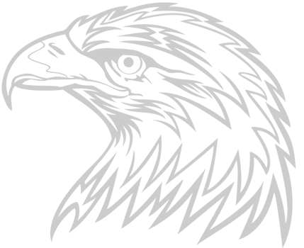 Eagle head vector
