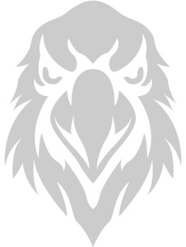 Eagle head vector