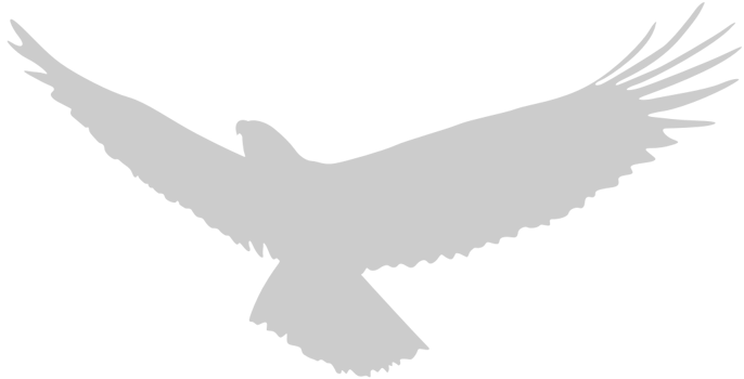 Eagle flying vector