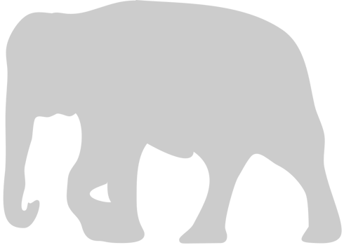 Elephant vector