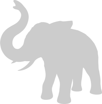 Elephant vector