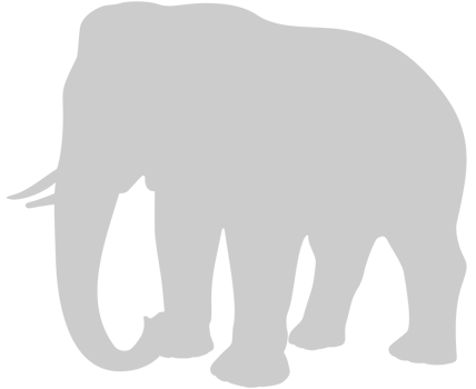 Elephant vector