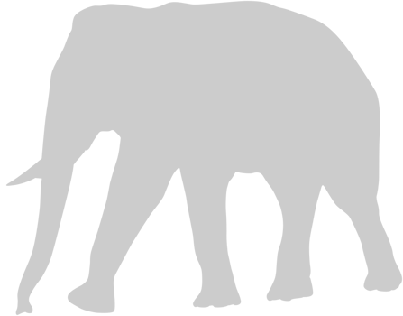 Elephant vector