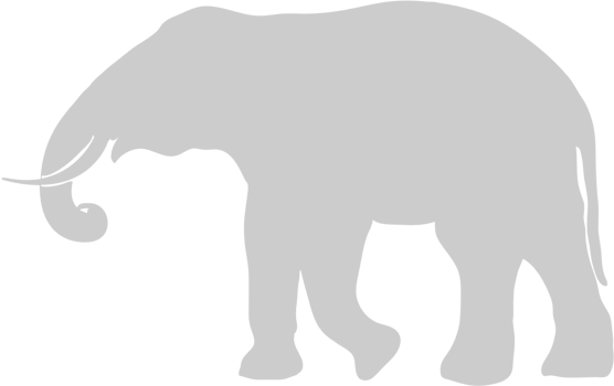 Elephant vector