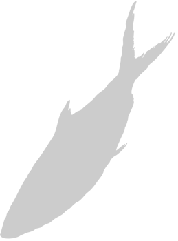 Fish vector